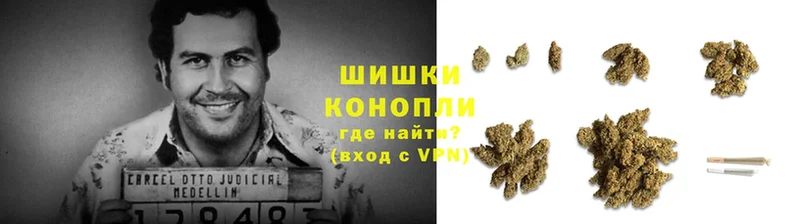 Конопля OG Kush  MEGA маркетплейс  Новодвинск 